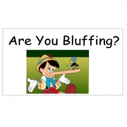 Are You Bluffing?