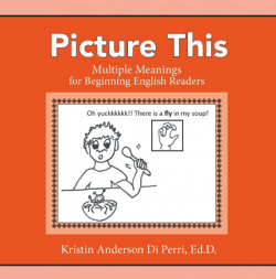 “Picture This Multiple Meanings for Beginning English Readers”   (Orange workbook)
