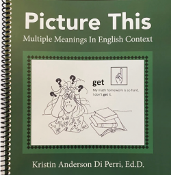 “Picture This Multiple Meanings in English Context”  (Green workbook)