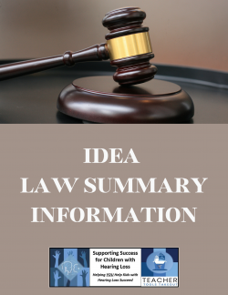 IDEA Law Summary Information
