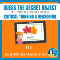 FALL GUESS THE SECRET OBJECT  - Auditory memory, comprehension, vocabulary
