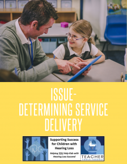 Issue - Determining Service Delivery