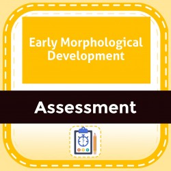 Early Morphological Development