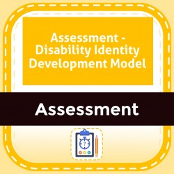 Assessment - Disability Identity Development Model