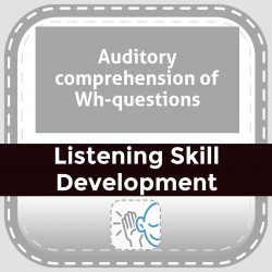 Auditory comprehension of Wh-questions